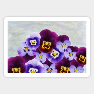 Purple Violet Flowers Sticker